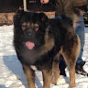 Meet your Posher, Brijoni